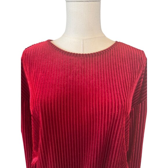 2/$15 ZARA Red Berry Medium Velvet Long Sleeve Ribbed Top Elastic Waist - Picture 7 of 13